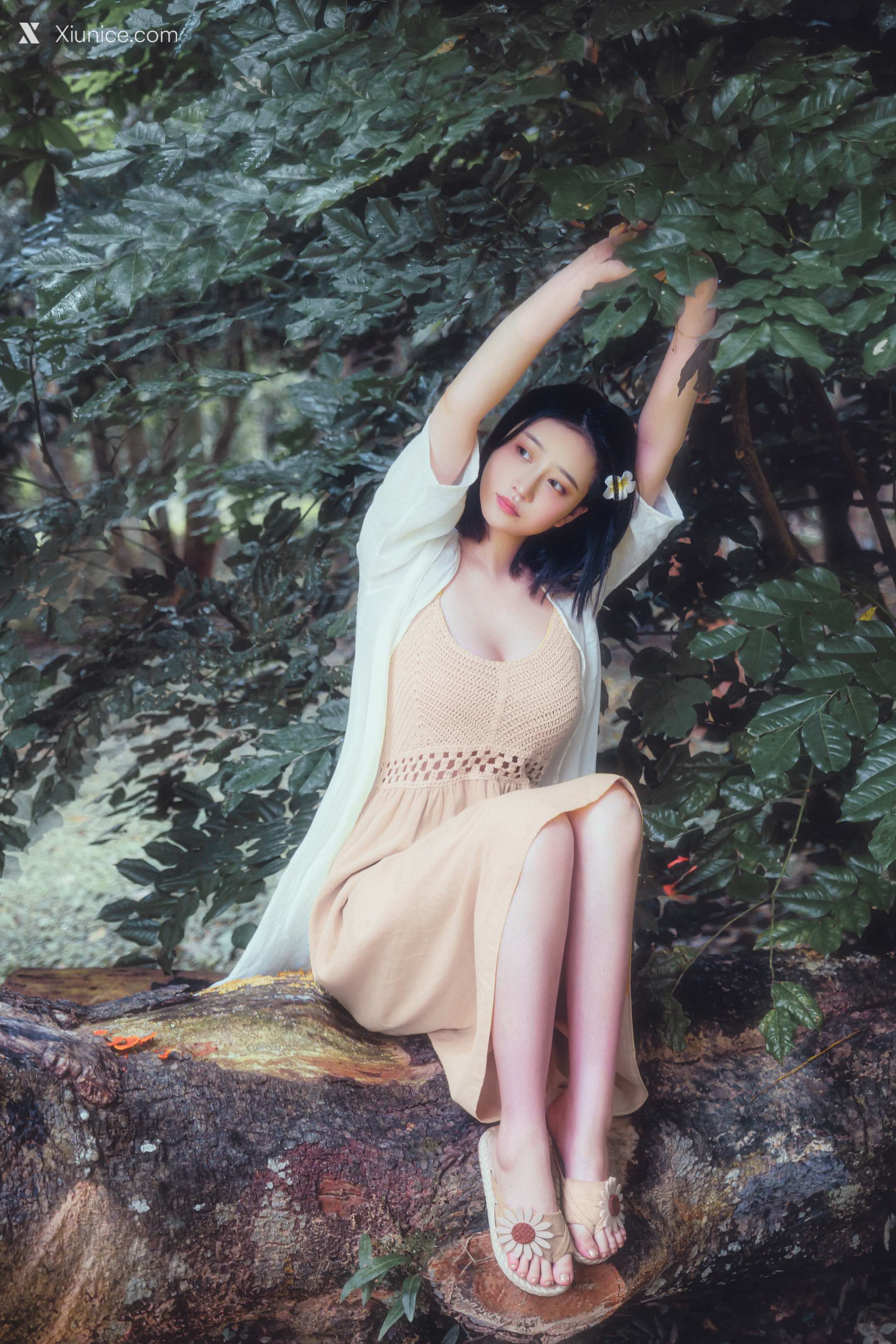 Coser@年年Nnian – 白露 第4张