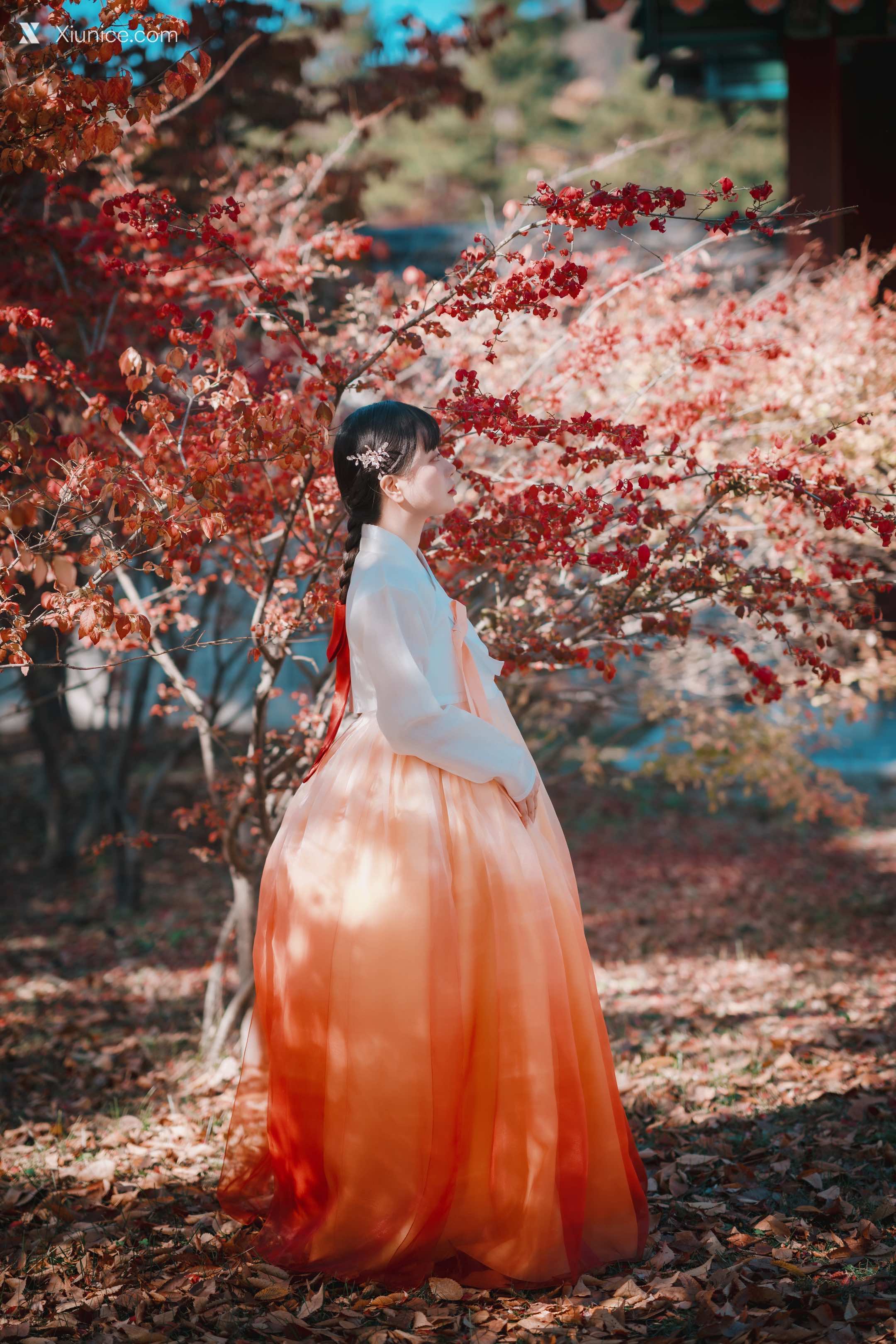 DJAWA Photo – DJAWA Photo – ZziZzi – Chuseok 第50张