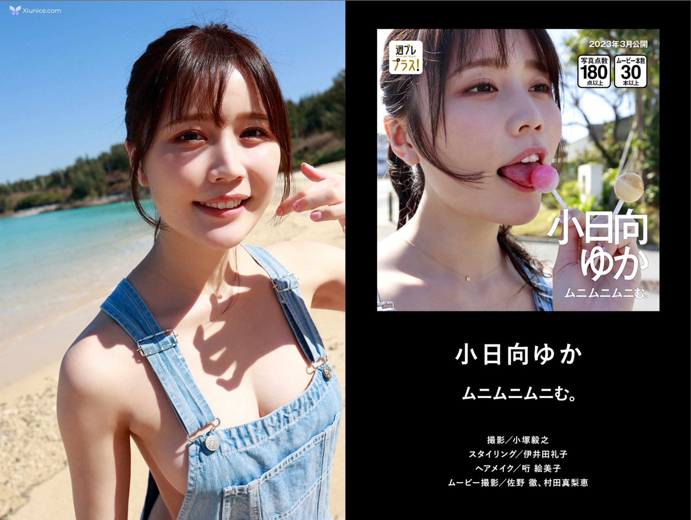 週フレフラス２周年記念タイシェストカタロク Lite Edition 第28张