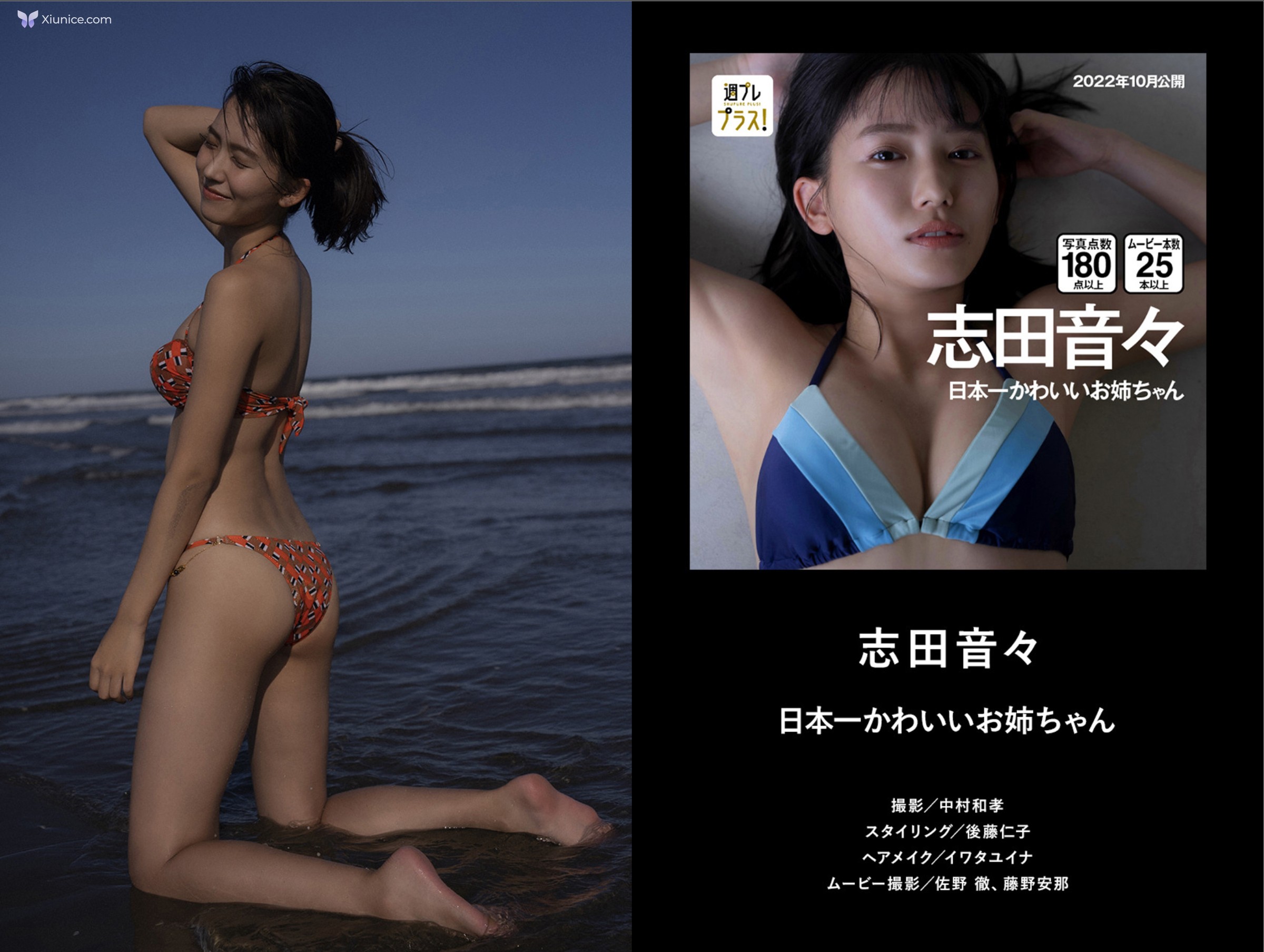 週フレフラス２周年記念タイシェストカタロク Lite Edition 第14张