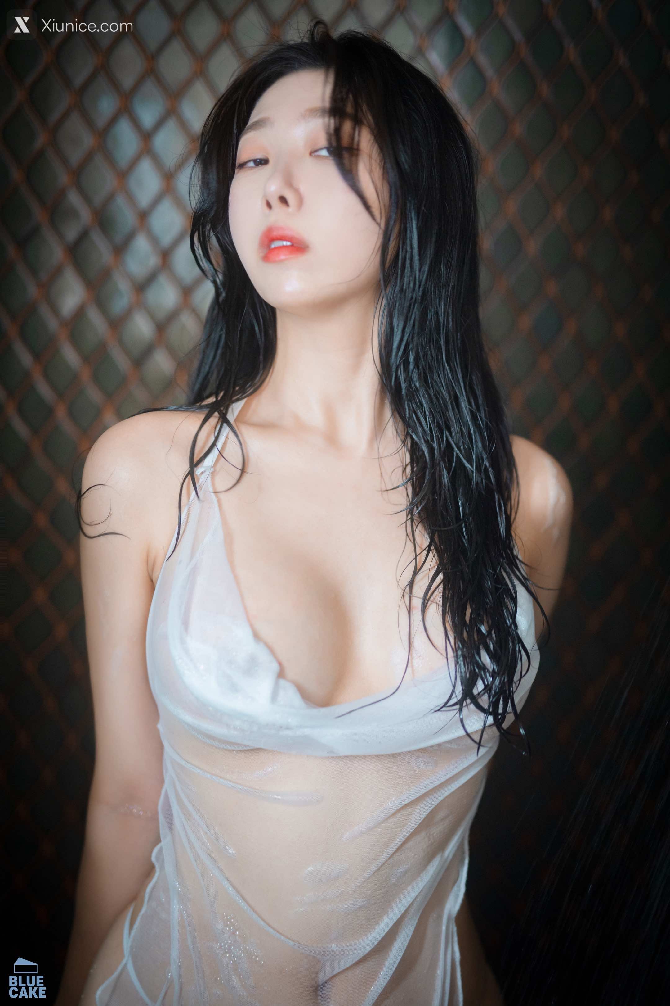 BLUECAKE Shaany – Wet 第207张