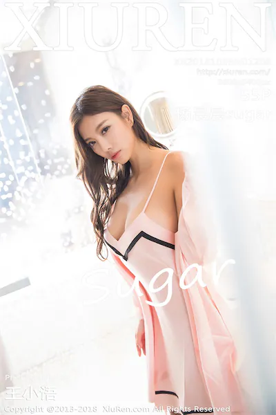 Xiuren秀人网 No.1208 杨晨晨sugar