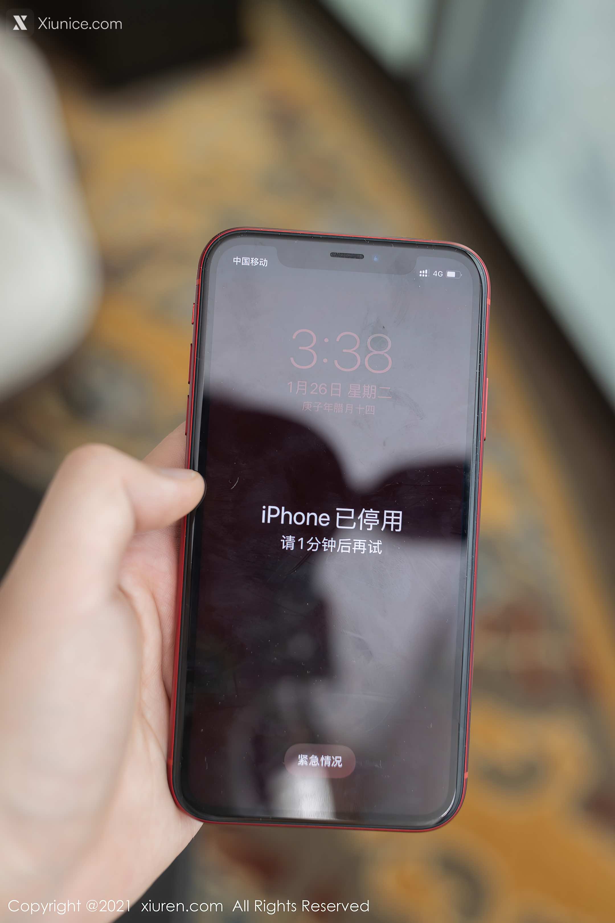 Xiuren秀人网 No.3061 模特合集 第8张